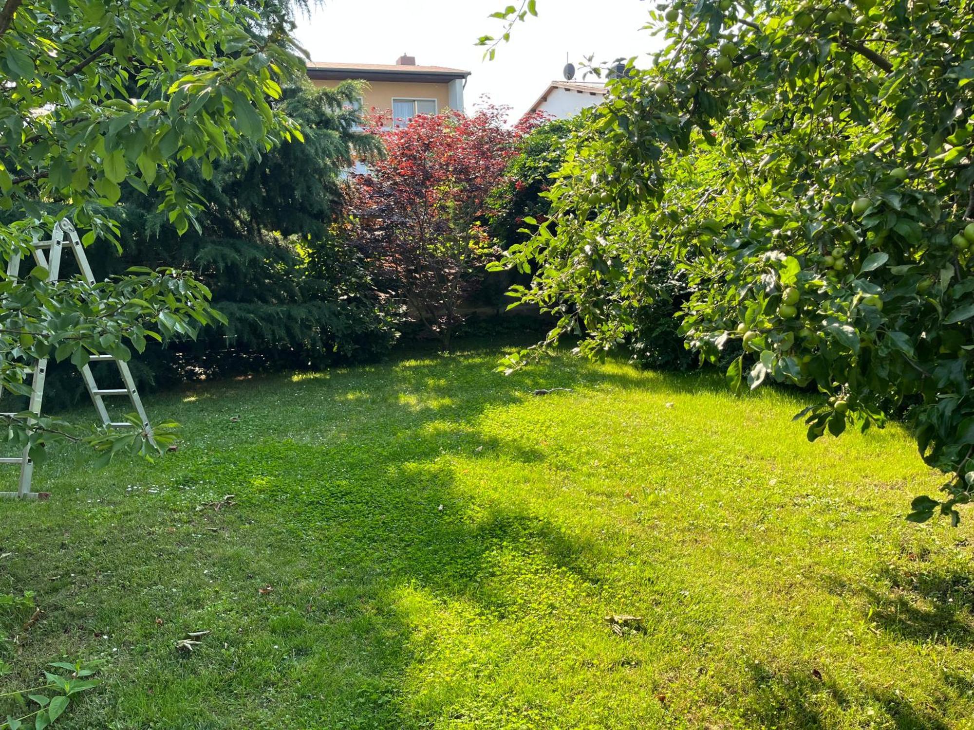 Ferienwohnung Elbidyll Magdeburg Exterior foto
